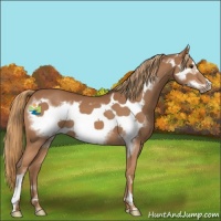Horse Color:Chestnut Frame 