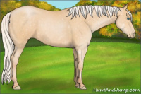 Horse Color:Silver Buckskin Pearl 