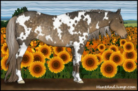 Horse Color:White Spotted Chocolate Palomino Rabicano 