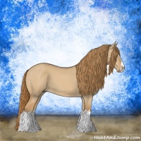 Horse Color:Red Dun Roan Splash Frame Rabicano 
