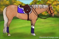 Horse Color:Silver Buckskin Roan 