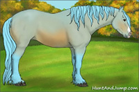 Horse Color:Watercolor Bay 