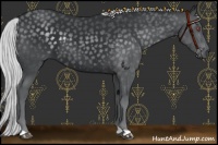 Horse Color:Silver Black Chinchilla 