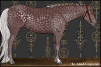 Horse Color:Chocolate Silver Black Chinchilla Rabicano