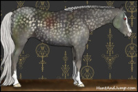 Horse Color:Silver Smoky Black Chinchilla Sabino 