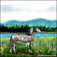 Horse Color:Platinum White Spotted Buckskin Sabino 