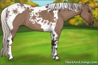 Horse Color:Silver Brown Dun Tobiano 
