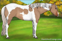 Horse Color:Silver Bay Dun Tobiano 