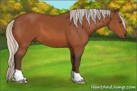Horse Color:Silver Bay 