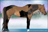 Horse Color:Void Liver Chestnut Tobiano  and Void Chocolate Palomino Tobiano 