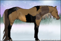 Horse Color:Void Liver Chestnut Tobiano  and Void Chocolate Palomino Tobiano 
