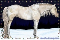 Horse Color:Liver Red Dun Pearl Tobiano  and Chocolate Palomino Pearl Dun Tobiano 