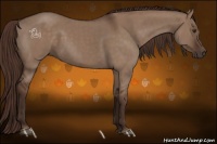 Horse Color:Liver Red Dun 