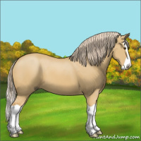 Horse Color:Palomino Dun Splash