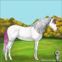 Horse Color:Plaid  Red Dun Ice Sabino Splash Tobiano Appaloosa Rabicano 