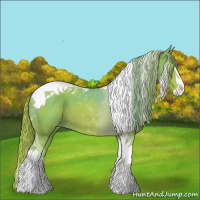 Horse Color:Watercolor Chestnut Splash Tobiano Appaloosa 