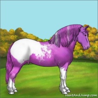 Horse Color:Watercolor Chestnut Tobiano Appaloosa