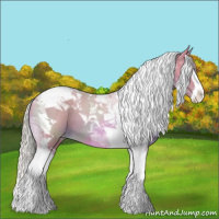 Horse Color:Watercolor Chestnut Sabino Splash Tobiano Varnish