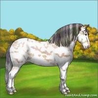 Horse Color:Nacre White Spotted Bay Ice Splash Varnish Rabicano 