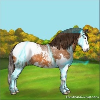 Horse Color:Thunderstruck Buckskin Ice Sabino Splash Snowcap 