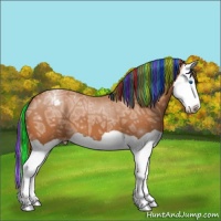 Horse Color:Painted Bay Ice Splash Varnish 