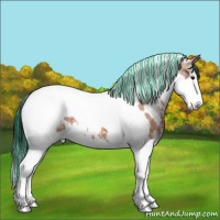 Horse Color:Painted White Spotted Bay Ice Splash Tobiano 