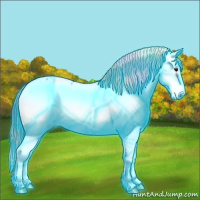 Horse Color:Nacre Thunderstruck Smoky Black Sabino Appaloosa