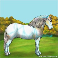 Horse Color:Nacre Thunderstruck Palomino Splash Appaloosa