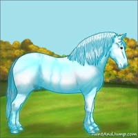 Horse Color:Gray Thunderstruck Bay Ice Sabino Splash