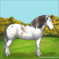 Horse Color:Bay Sabino Splash Blanket 