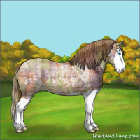 Horse Color:Nacre Plaid  Chestnut Ice Splash Varnish 