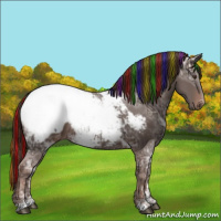 Horse Color:Painted Liver Chestnut Ice Sabino Appaloosa Rabicano