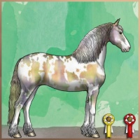 Horse Color:Nacre Plaid  White Spotted Chocolate Palomino Onyx Sabino Rabicano 