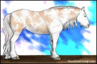 Horse Color:White Spotted Silver Buckskin Pearl Splash 