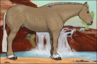 Horse Color:Silver Smoky Black 