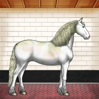 Horse Color:Watercolor White Spotted Liver Red Onyx Pearl Splash