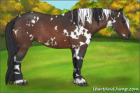 Horse Color:White Spotted Brown Roan Rabicano 