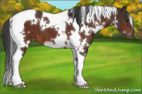 Horse Color:White Spotted Brown Tobiano Varnish 