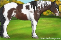 Horse Color:Brown Sabino Tobiano 
