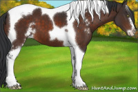 Horse Color:Brown Sabino Tobiano 