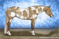 Horse Color:White Spotted Chocolate Palomino Dun Rabicano