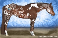 Horse Color:White Spotted Liver Chestnut 
