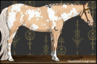 Horse Color:White Spotted Silver Amber Champagne 