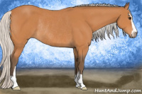 Horse Color:Silver Bay Sabino Rabicano