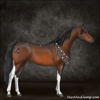 Horse Color:Bay Tobiano Rabicano 