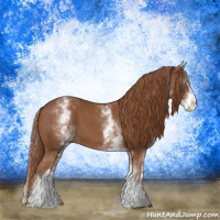 Horse Color:White Spotted Chestnut Sabino