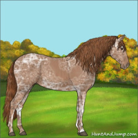 Horse Color:Chestnut Ice 