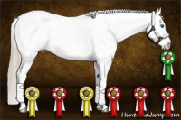 Horse Color:White Spotted Palomino Splash Tobiano Rabicano