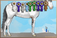 Horse Color:White Spotted Bay Sabino Appaloosa 