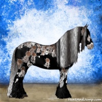 Horse Color:Buckskin Sabino Frame Rabicano